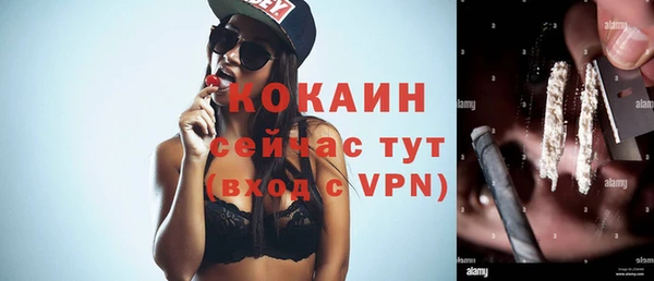 гашик Осташков