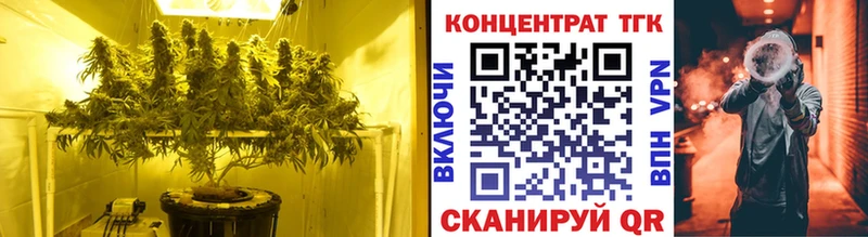 ТГК Wax  Купить  Нижняя Тура 