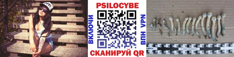 Галлюциногенные грибы Cubensis Нижняя Тура