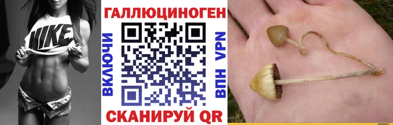 Купить  Нижняя Тура  Псилоцибиновые грибы GOLDEN TEACHER 
